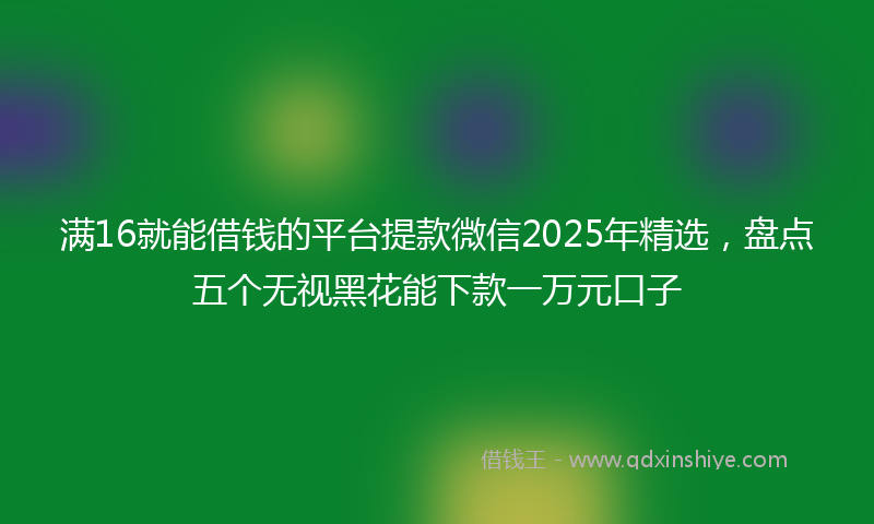 满16就能借钱的平台提款微信2025年精选，盘点五个无视黑花能下款一万元口子
