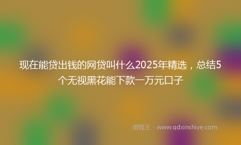 现在能贷出钱的网贷叫什么2025年精选，总结5个无视黑花能下款一万元口子