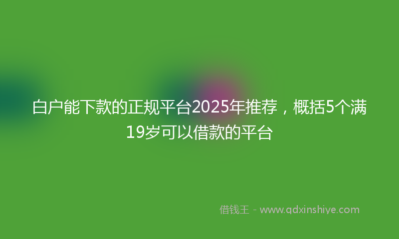 白户能下款的正规平台2025年推荐，概括5个满19岁可以借款的平台