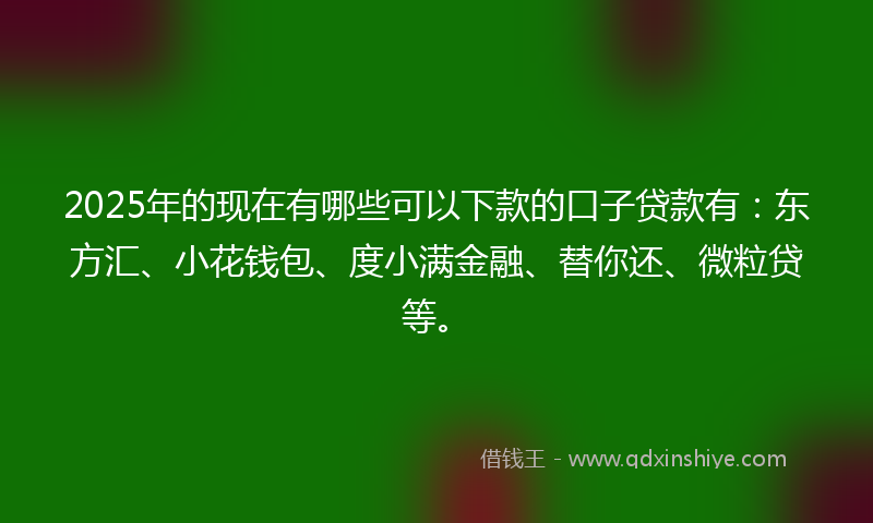 2025年的现在有哪些可以下款的口子贷款有：东方汇、小花钱包、度小满金融、替你还、微粒贷等。