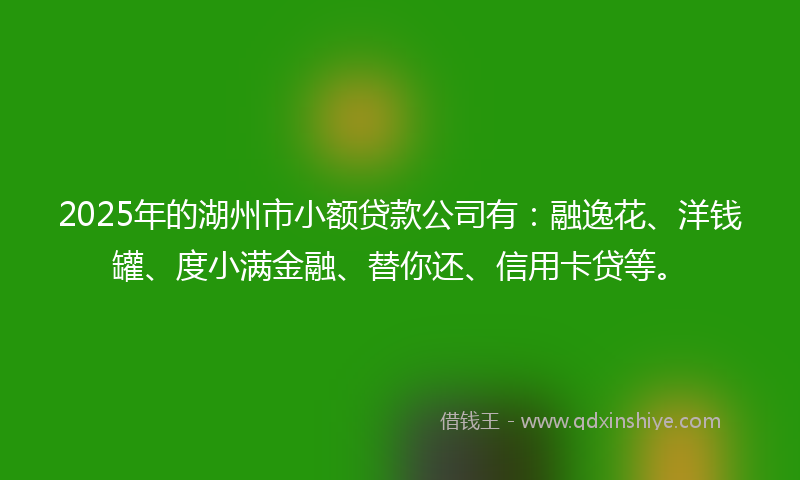 2025年的湖州市小额贷款公司有：融逸花、洋钱罐、度小满金融、替你还、信用卡贷等。