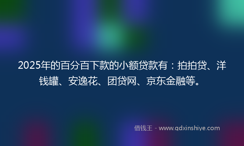 2025年的百分百下款的小额贷款有：拍拍贷、洋钱罐、安逸花、团贷网、京东金融等。