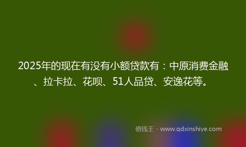 2025年的现在有没有小额贷款有：中原消费金融、拉卡拉、花呗、51人品贷、安逸花等。