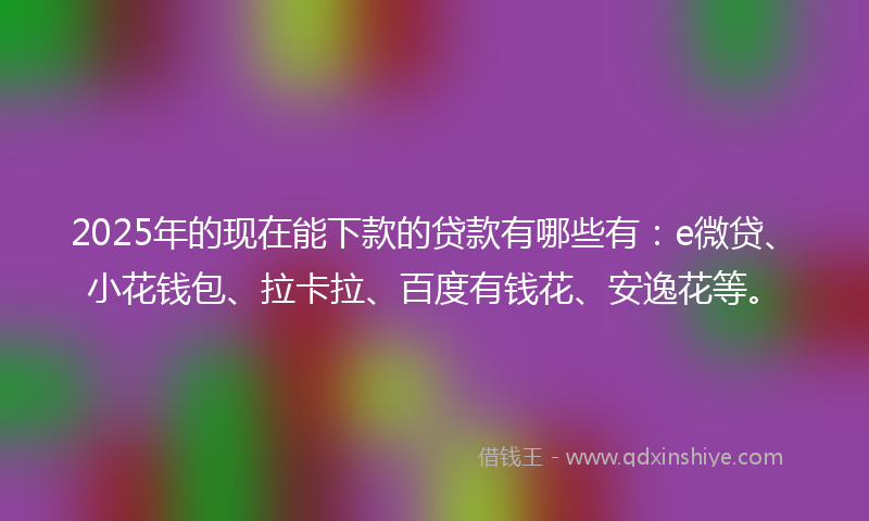 2025年的现在能下款的贷款有哪些有：e微贷、小花钱包、拉卡拉、百度有钱花、安逸花等。