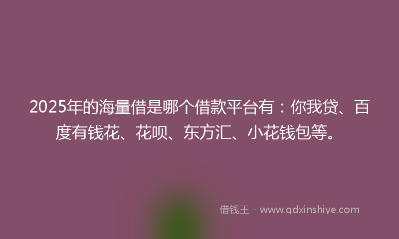 2025年的海量借是哪个借款平台有：你我贷、百度有钱花、花呗、东方汇、小花钱包等。