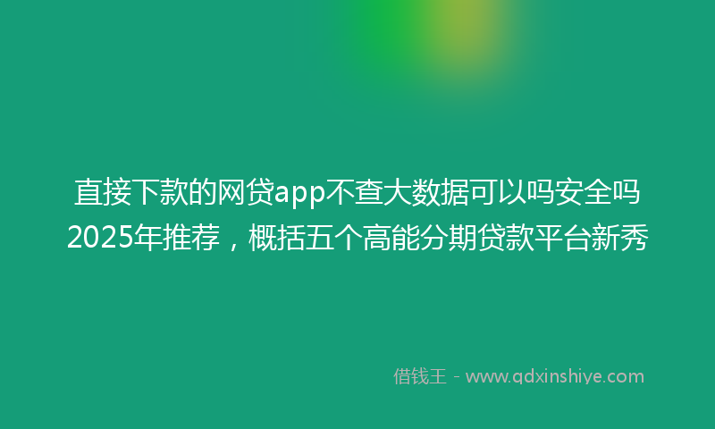 直接下款的网贷app不查大数据可以吗安全吗2025年推荐，概括五个高能分期贷款平台新秀
