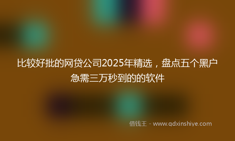比较好批的网贷公司2025年精选，盘点五个黑户急需三万秒到的的软件