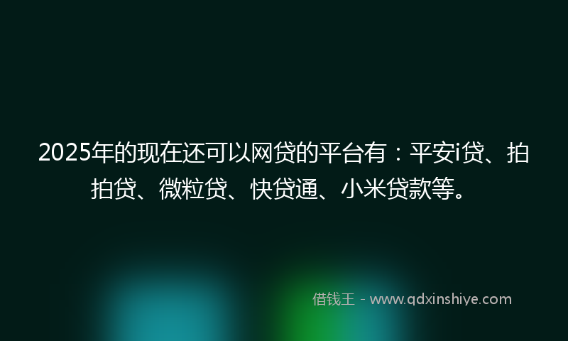 2025年的现在还可以网贷的平台有：平安i贷、拍拍贷、微粒贷、快贷通、小米贷款等。