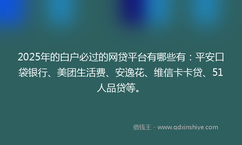 2025年的白户必过的网贷平台有哪些有：平安口袋银行、美团生活费、安逸花、维信卡卡贷、51人品贷等。