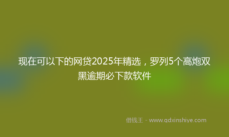 现在可以下的网贷2025年精选，罗列5个高炮双黑逾期必下款软件