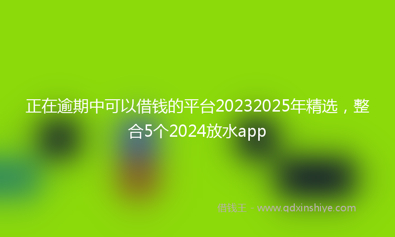 正在逾期中可以借钱的平台20232025年精选，整合5个2024放水app