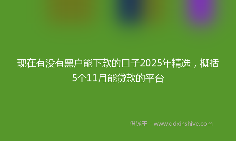 现在有没有黑户能下款的口子2025年精选，概括5个11月能贷款的平台