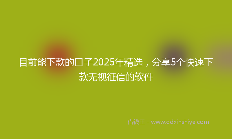 目前能下款的口子2025年精选，分享5个快速下款无视征信的软件