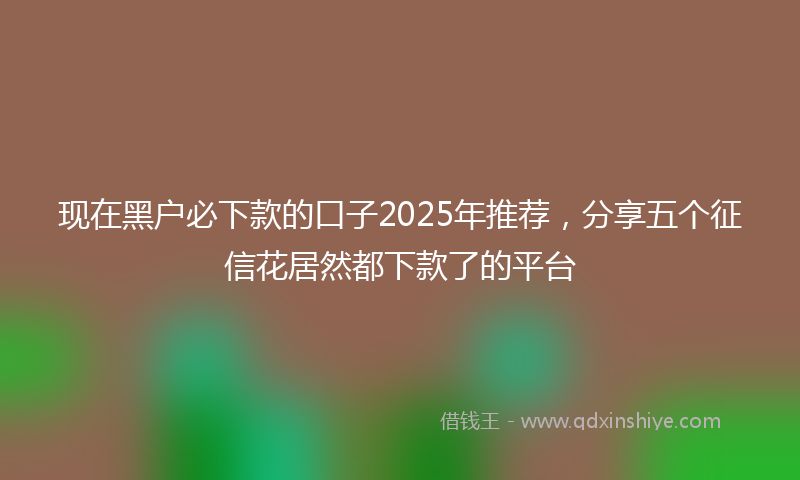 现在黑户必下款的口子2025年推荐，分享五个征信花居然都下款了的平台