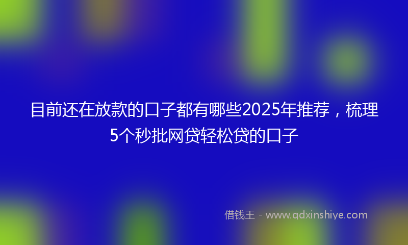 目前还在放款的口子都有哪些2025年推荐，梳理5个秒批网贷轻松贷的口子