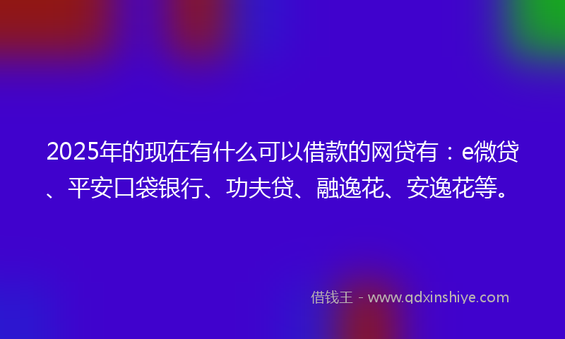 2025年的现在有什么可以借款的网贷有：e微贷、平安口袋银行、功夫贷、融逸花、安逸花等。