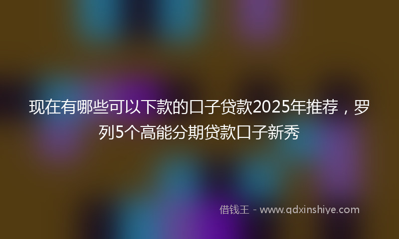现在有哪些可以下款的口子贷款2025年推荐，罗列5个高能分期贷款口子新秀
