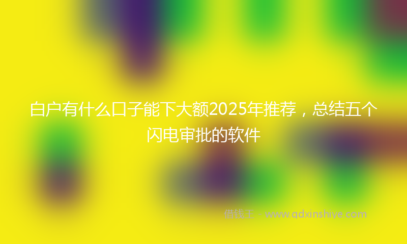 白户有什么口子能下大额2025年推荐，总结五个闪电审批的软件