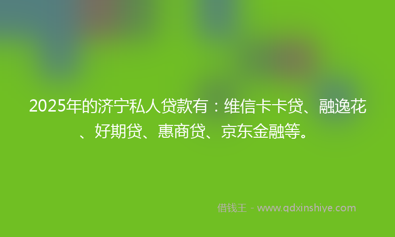 2025年的济宁私人贷款有：维信卡卡贷、融逸花、好期贷、惠商贷、京东金融等。