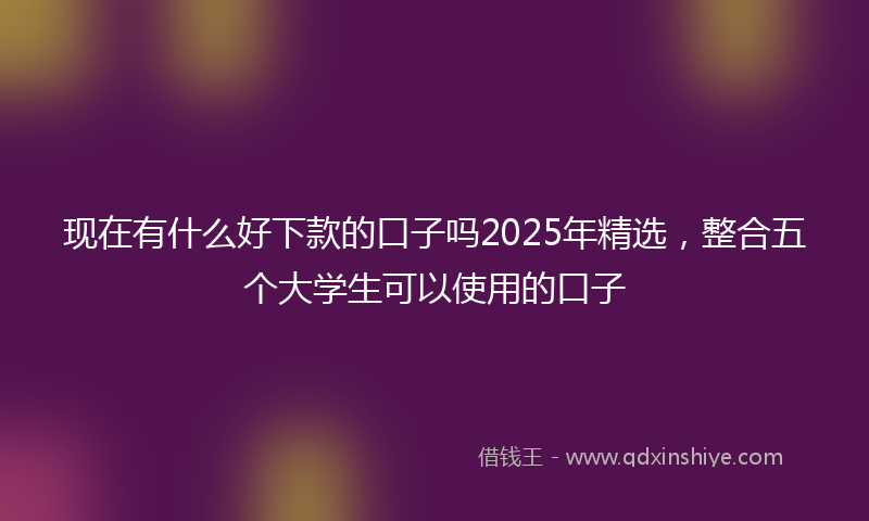 现在有什么好下款的口子吗2025年精选，整合五个大学生可以使用的口子