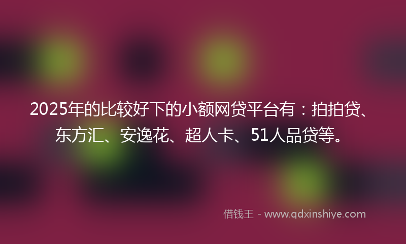 2025年的比较好下的小额网贷平台有：拍拍贷、东方汇、安逸花、超人卡、51人品贷等。