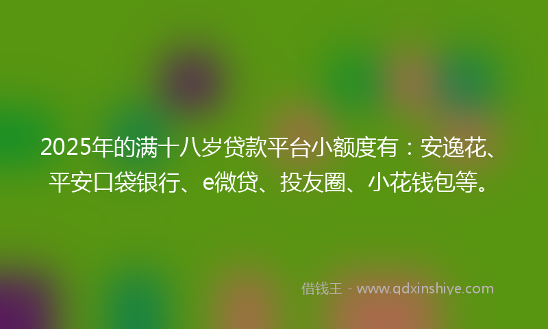 2025年的满十八岁贷款平台小额度有：安逸花、平安口袋银行、e微贷、投友圈、小花钱包等。