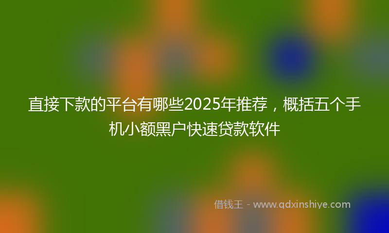 直接下款的平台有哪些2025年推荐，概括五个手机小额黑户快速贷款软件