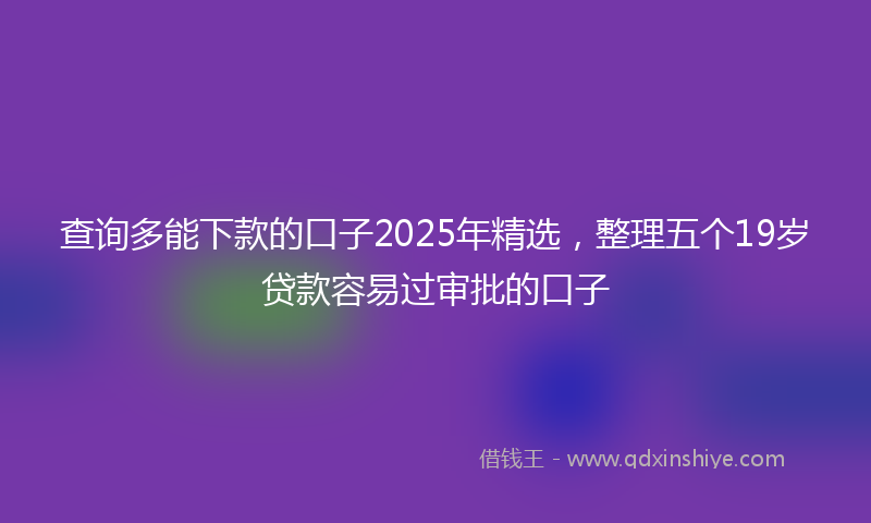 查询多能下款的口子2025年精选，整理五个19岁贷款容易过审批的口子