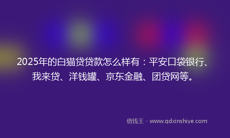 2025年的白猫贷贷款怎么样有：平安口袋银行、我来贷、洋钱罐、京东金融、团贷网等。