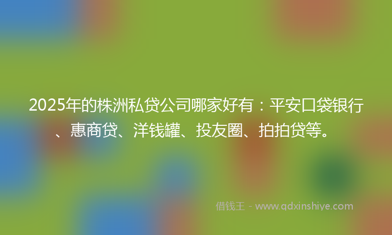 2025年的株洲私贷公司哪家好有：平安口袋银行、惠商贷、洋钱罐、投友圈、拍拍贷等。