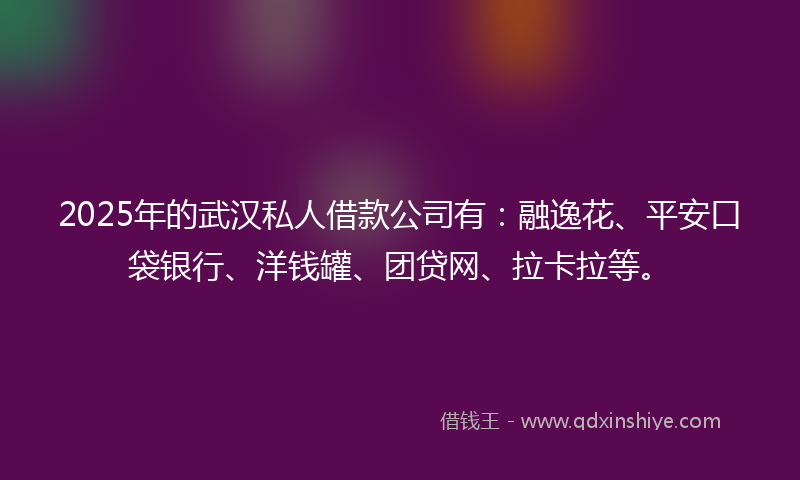 2025年的武汉私人借款公司有：融逸花、平安口袋银行、洋钱罐、团贷网、拉卡拉等。