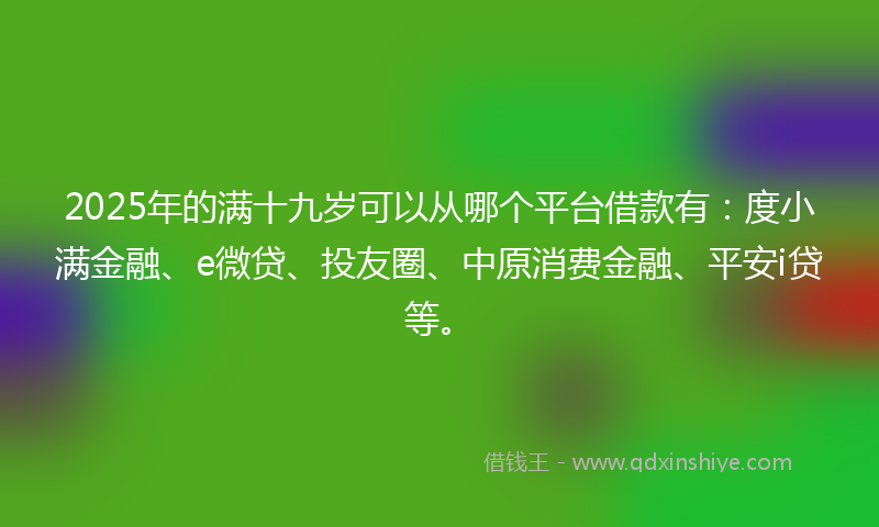 2025年的满十九岁可以从哪个平台借款有：度小满金融、e微贷、投友圈、中原消费金融、平安i贷等。