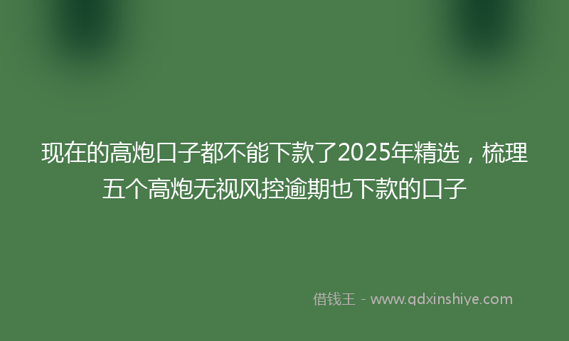 现在的高炮口子都不能下款了2025年精选，梳理五个高炮无视风控逾期也下款的口子