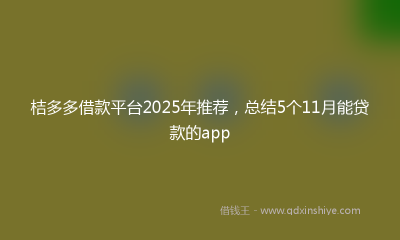 桔多多借款平台2025年推荐，总结5个11月能贷款的app