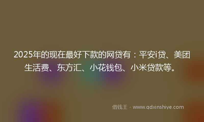 2025年的现在最好下款的网贷有：平安i贷、美团生活费、东方汇、小花钱包、小米贷款等。