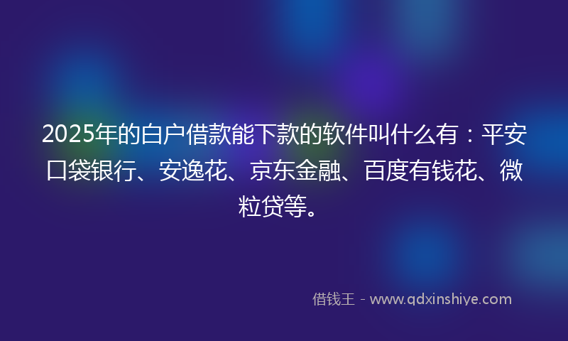 2025年的白户借款能下款的软件叫什么有：平安口袋银行、安逸花、京东金融、百度有钱花、微粒贷等。