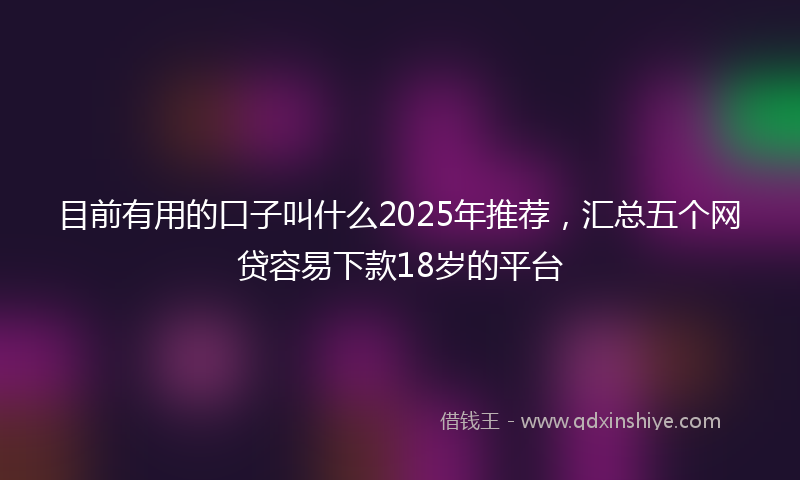 目前有用的口子叫什么2025年推荐，汇总五个网贷容易下款18岁的平台
