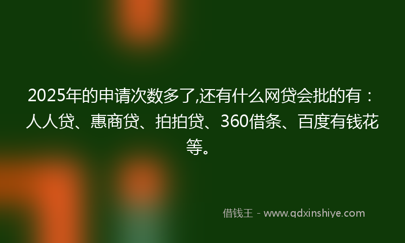 2025年的申请次数多了,还有什么网贷会批的有：人人贷、惠商贷、拍拍贷、360借条、百度有钱花等。