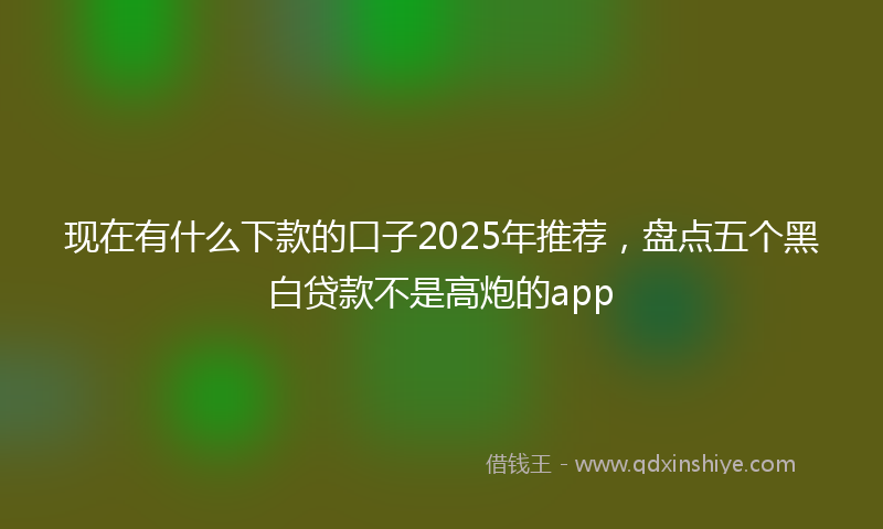 现在有什么下款的口子2025年推荐，盘点五个黑白贷款不是高炮的app