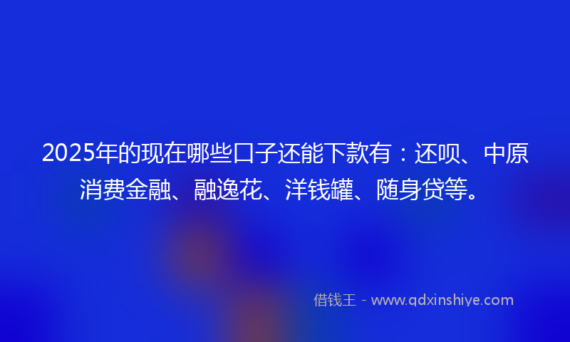 2025年的现在哪些口子还能下款有：还呗、中原消费金融、融逸花、洋钱罐、随身贷等。