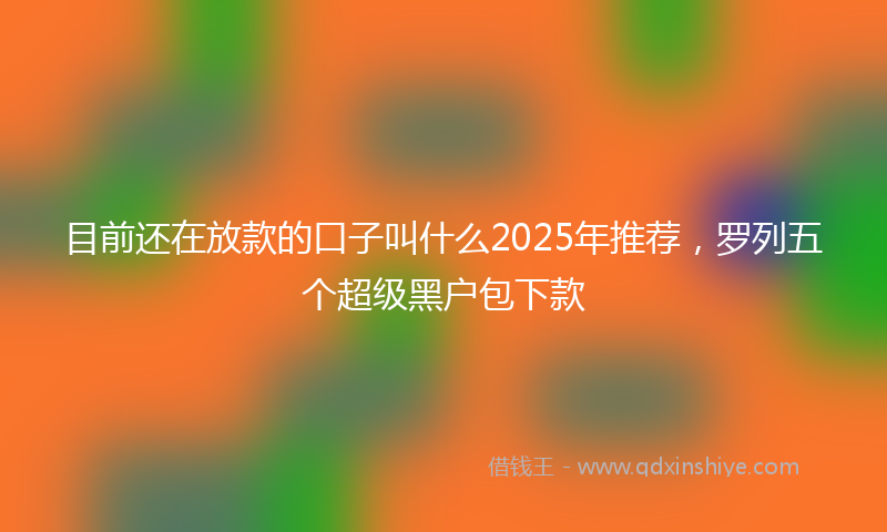 目前还在放款的口子叫什么2025年推荐，罗列五个超级黑户包下款
