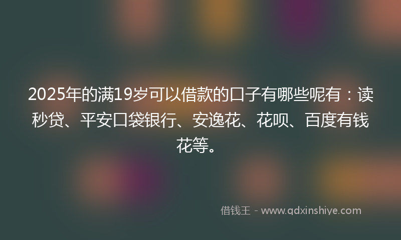 2025年的满19岁可以借款的口子有哪些呢有：读秒贷、平安口袋银行、安逸花、花呗、百度有钱花等。