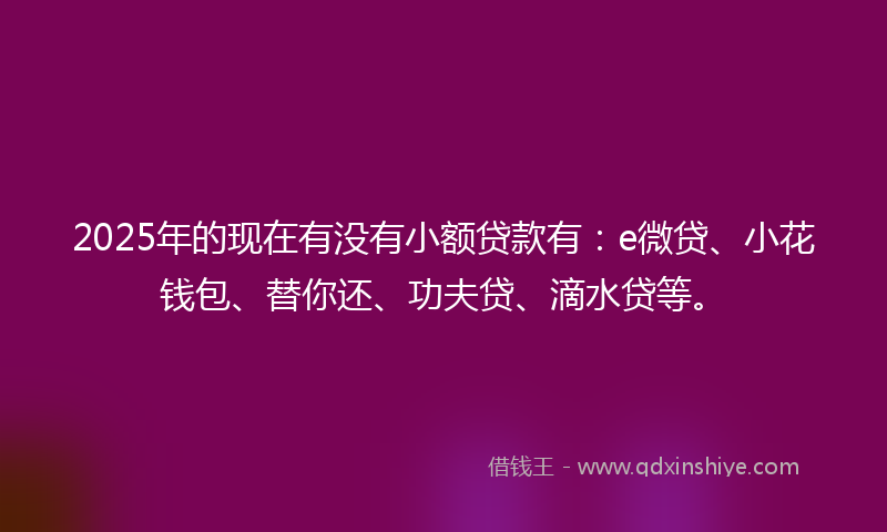 2025年的现在有没有小额贷款有：e微贷、小花钱包、替你还、功夫贷、滴水贷等。