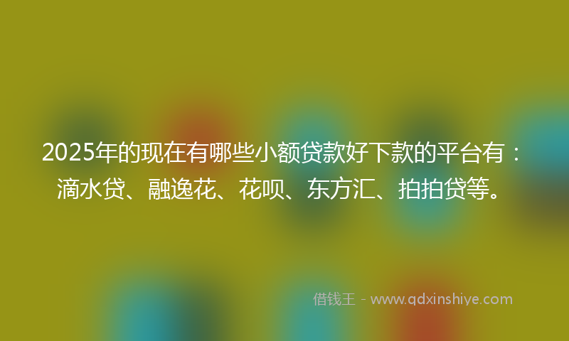2025年的现在有哪些小额贷款好下款的平台有：滴水贷、融逸花、花呗、东方汇、拍拍贷等。
