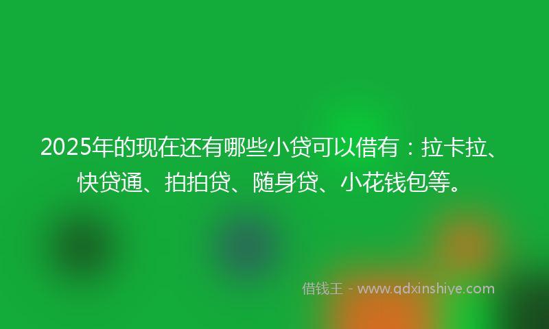 2025年的现在还有哪些小贷可以借有：拉卡拉、快贷通、拍拍贷、随身贷、小花钱包等。