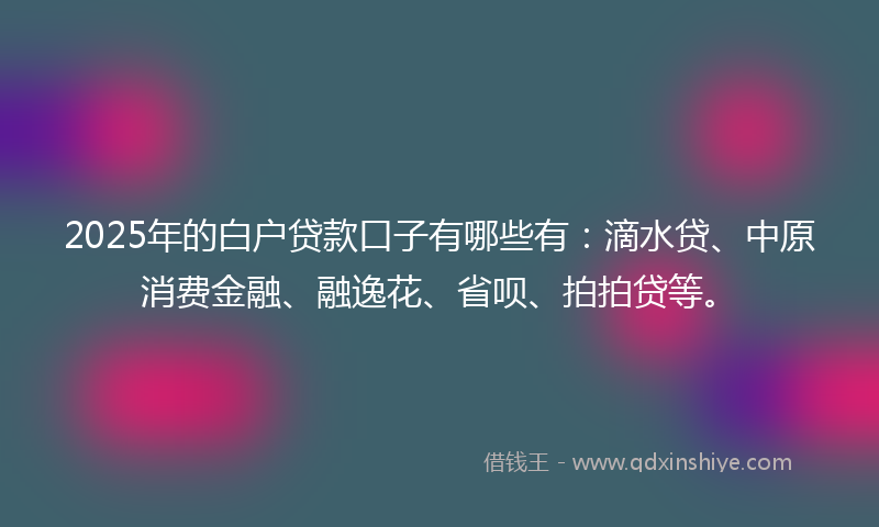 2025年的白户贷款口子有哪些有：滴水贷、中原消费金融、融逸花、省呗、拍拍贷等。