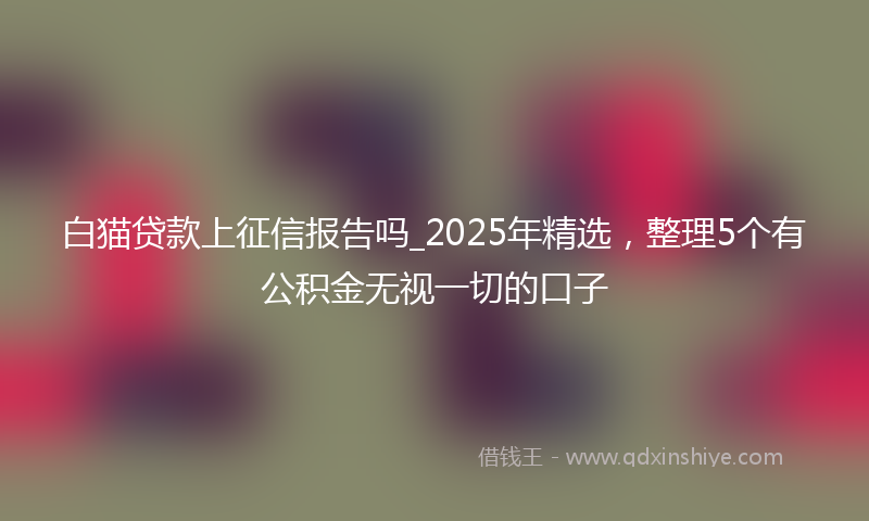 白猫贷款上征信报告吗_2025年精选，整理5个有公积金无视一切的口子