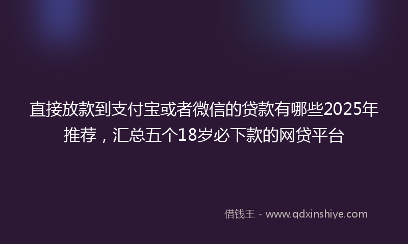 直接放款到支付宝或者微信的贷款有哪些2025年推荐，汇总五个18岁必下款的网贷平台