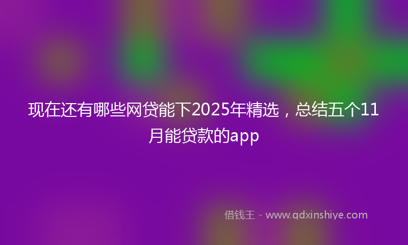 现在还有哪些网贷能下2025年精选，总结五个11月能贷款的app