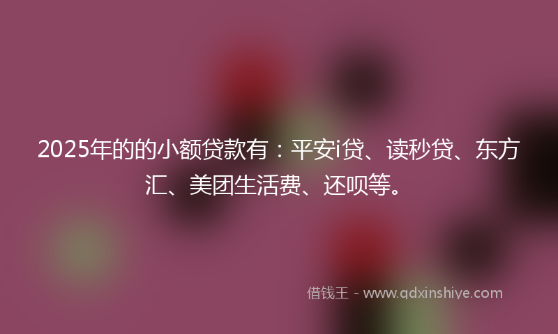 2025年的的小额贷款有：平安i贷、读秒贷、东方汇、美团生活费、还呗等。